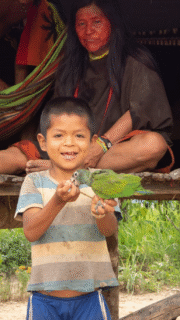 Una ruta corta para la impunidad: los caminos ilegales en la Amazonía peruana