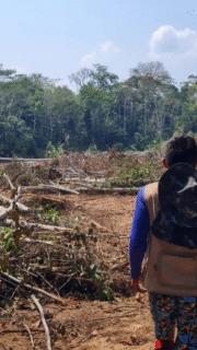 Bolognesi – Breu: la carretera que abre paso al narcotráfico y la deforestación en la frontera de Perú y Brasil