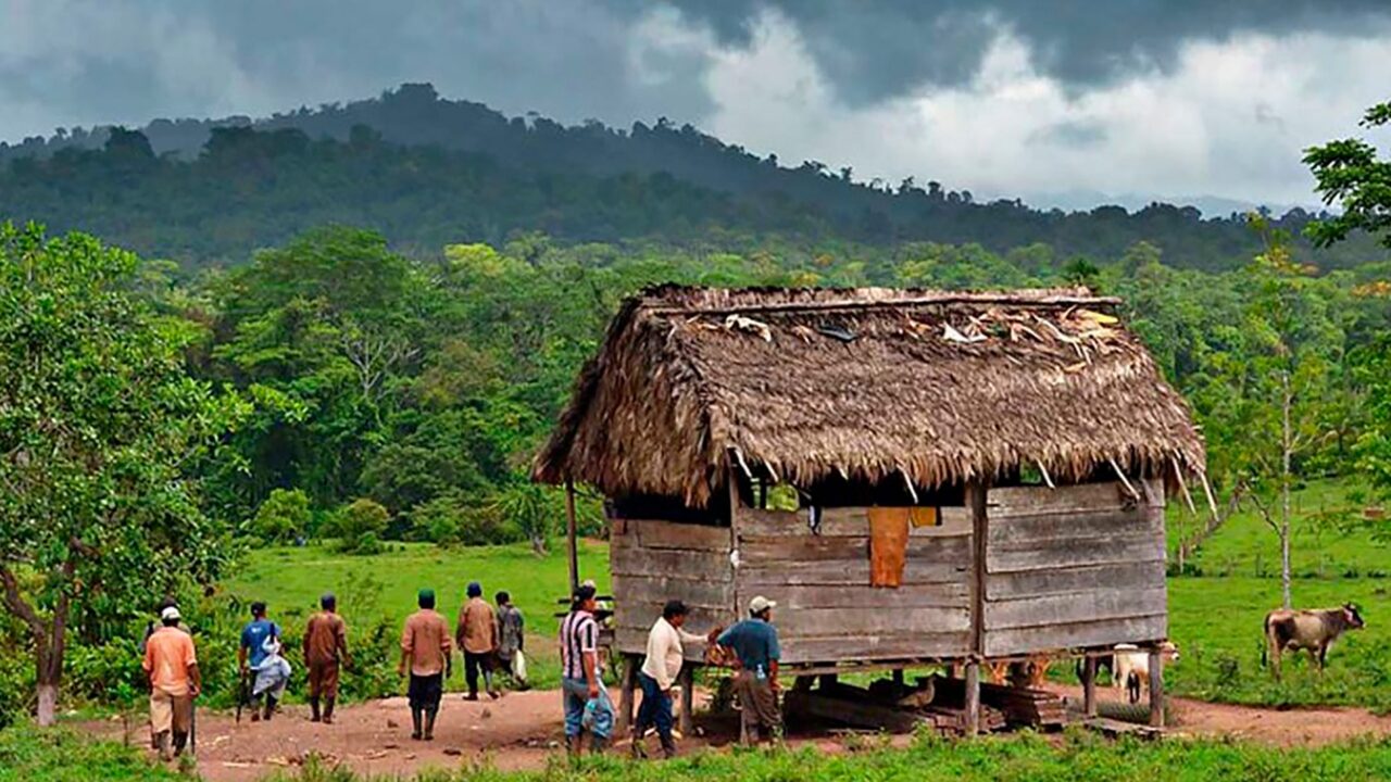 Estudio alerta que demora en titulación de comunidades pone en riesgo a defensores de derechos humanos