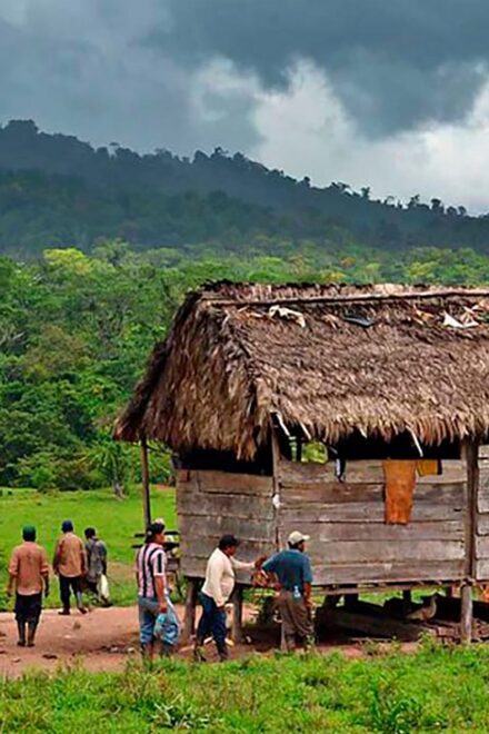 Estudio alerta que demora en titulación de comunidades pone en riesgo a defensores de derechos humanos