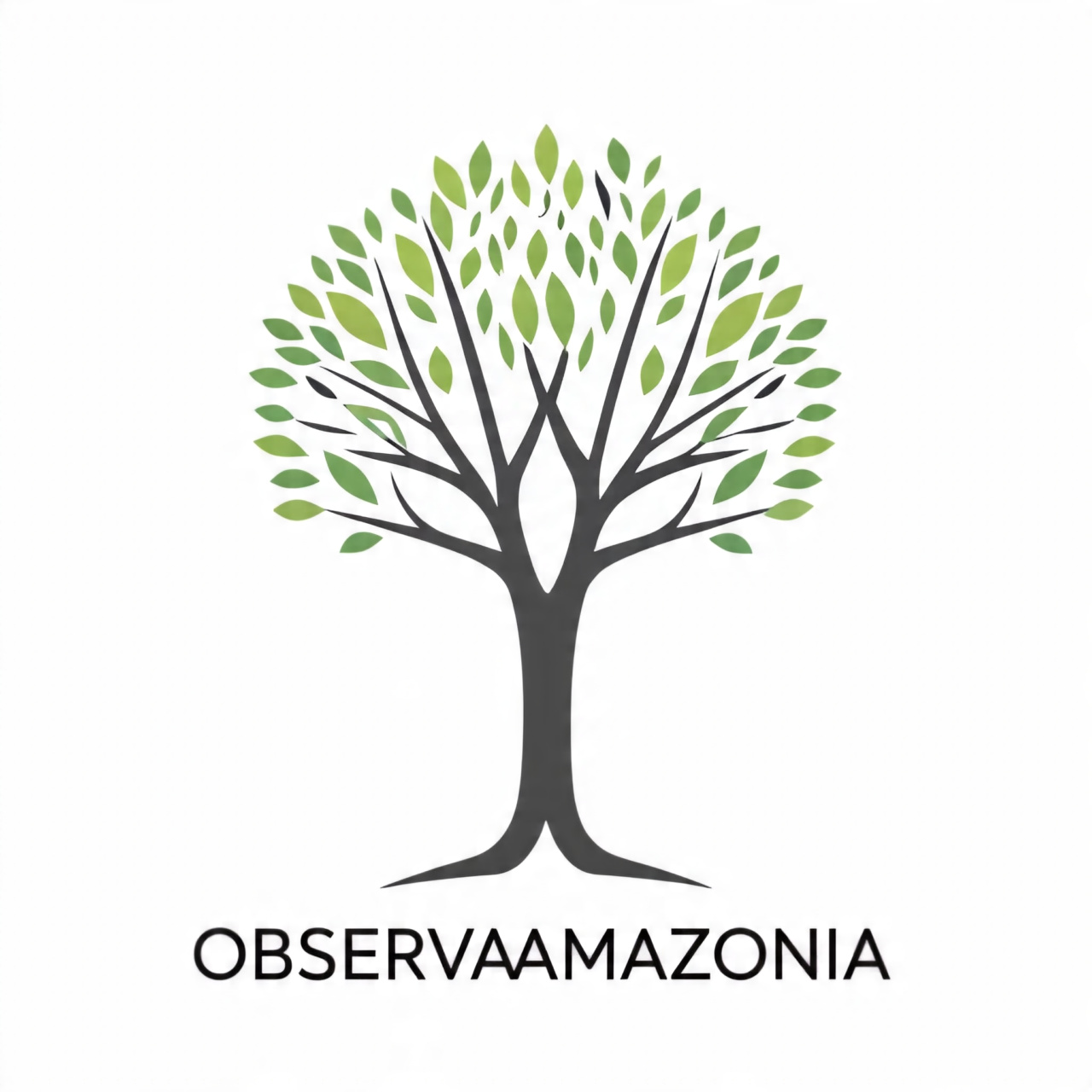 Observa Amazonía