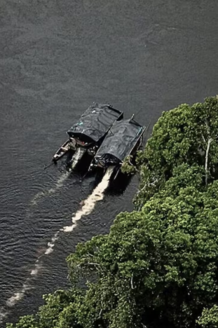 Minería ilegal ya alcanza “todas las regiones” del Perú: informe internacional alerta sobre crisis ambiental en la Amazonía