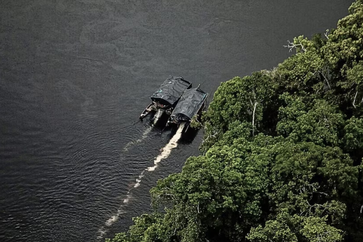 Minería ilegal ya alcanza “todas las regiones” del Perú: informe internacional alerta sobre crisis ambiental en la Amazonía