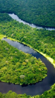 Río Ucayali en alerta roja: crecida pone en riesgo a poblaciones de Loreto