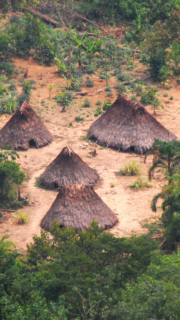 CIDH otorga medidas cautelares al pueblo indígena Kakataibo