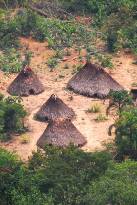 CIDH otorga medidas cautelares al pueblo indígena Kakataibo