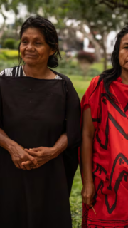 Caso Saweto: hábeas corpus pone en riesgo condena contra madereros por asesinato de líderes ashéninkas