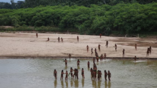 Narcotráfico en la Amazonía peruana: más de 270 comunidades indígenas en riesgo, revela informe