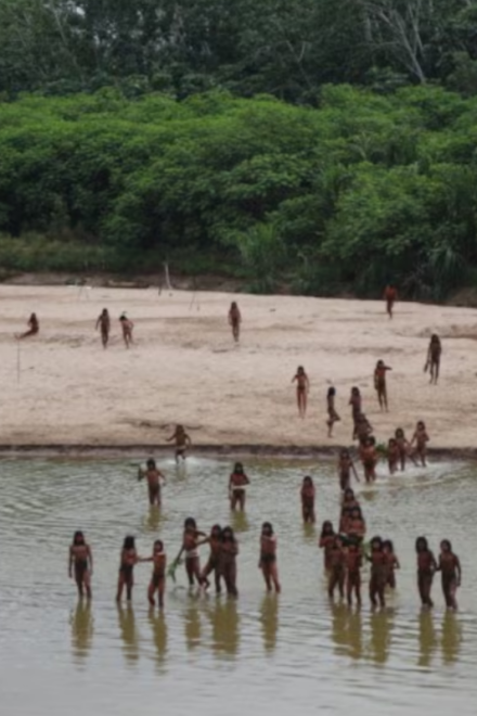 Narcotráfico en la Amazonía peruana: más de 270 comunidades indígenas en riesgo, revela informe