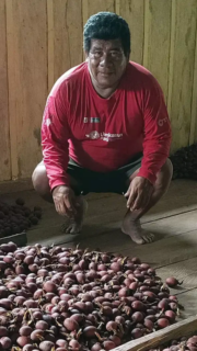 Manejo forestal comunitario en Parinari: más de 500 familias generan ingresos sin deforestación en Loreto